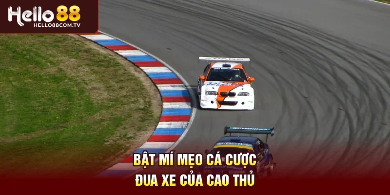 Bật mí mẹo cá cược đua xe của cao thủ