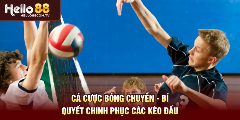 Cá cược bóng chuyền