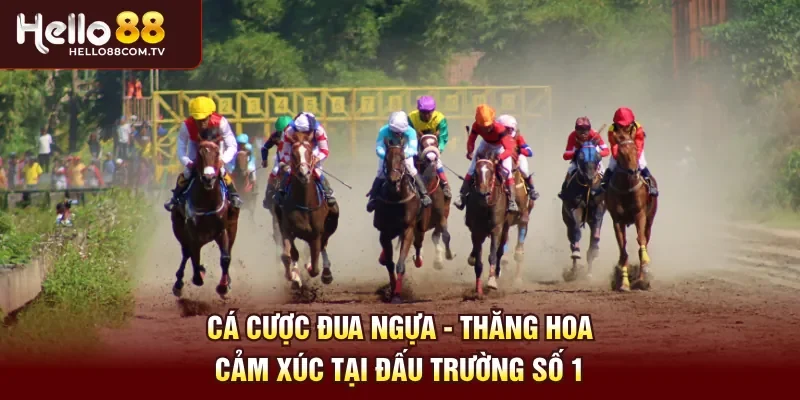 Cá cược đua ngựa