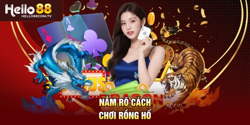 Nắm rõ cách chơi Rồng hổ