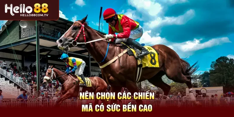 Nên chọn các chiến mã có sức bền cao