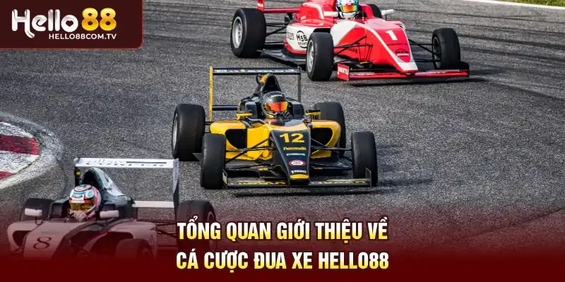 Tổng quan giới thiệu về cá cược đua xe Hello88